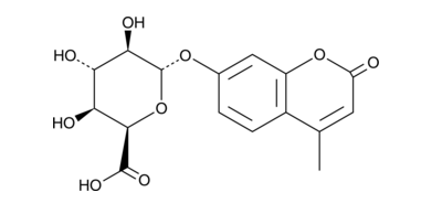 [Medlife]ALPHA-L- 四羟基环氧戊酸-4 -甲基伞形酯|66966-09-4