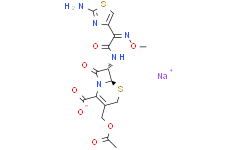 [Medlife]Cefotaxime (sodium salt)|64485-93-4