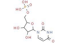 [Medlife]UMP|58-97-9