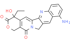 [Medlife]9-amino Camptothecin|91421-43-1