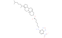 [Medlife]3-hexanoyl-NBD Cholesterol|201731-19-3