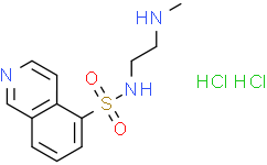 [Medlife]H-8 (hydrochloride)|113276-94-1