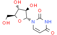 【perfemiker】尿苷,生物技术级|Uridine