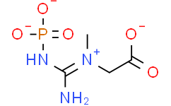 [perfemiker]请注意查收！Phosphocreatine disodium salt的详情