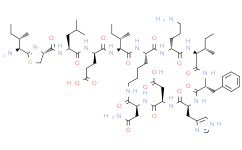 [perfemiker]Bacitracin可与其他抗生素一起使用时，可以形成好的效果！