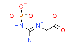 [Medlife]Phosphocreatine disodium salt|922-32-7