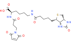 [Medlife]3-(N-Maleimidopropionyl)-biocytin|102849-