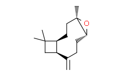 (-)-氧化石竹烯：一种具有多重生物活性的天然化合物
