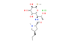 Lincomycin HCl——生物研究中的强力抗生素