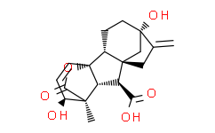 组胺在生物研究中的应用与前景