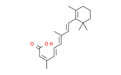Tretinoin (Aberela)在科研领域的卓越表现：引领皮肤科研新篇章