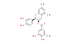 (-)-Epicatechin Gallate：科研领域的明星成分，展现多元生物活性