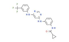 EGFR Inhibitor：科研领域的璀璨新星，引领肿瘤治疗新篇章