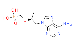 Adrenomedullin (1-12) (human) (Trifluoroacetate Sa