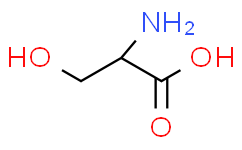 D-Serine：科研领域的新星分子及其多功能应用