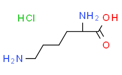 L-赖氨酸盐酸盐在科研领域的产品探索与应用