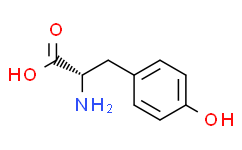 L-酪氨酸在科研领域的产品应用与前景