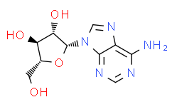 Vidarabine：抗病毒药物领域的创新先锋