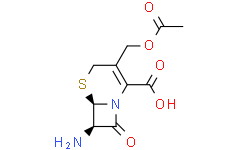 7-氨基头孢烷酸：科研领域的重要产品与创新应用