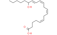 (±)15-HETE：科研领域中的多功能生物活性分子